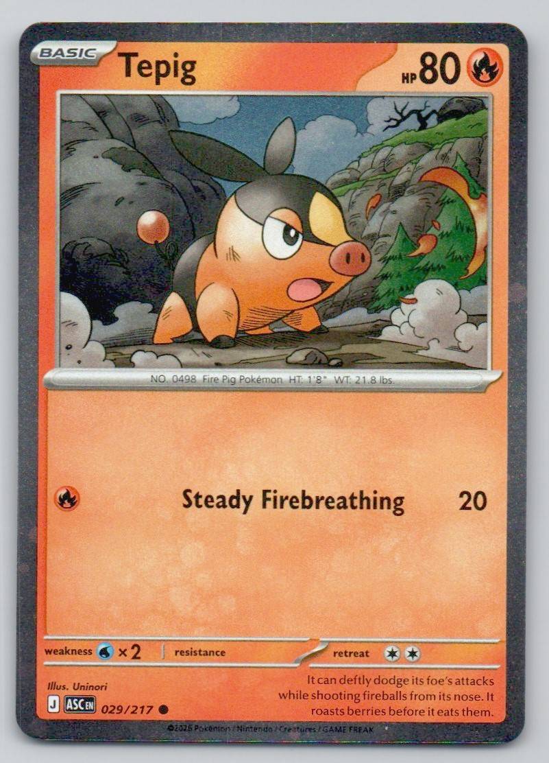 Tepig (Cosmos Holo) 029 HOL Card - Miscellaneous Cards & Products