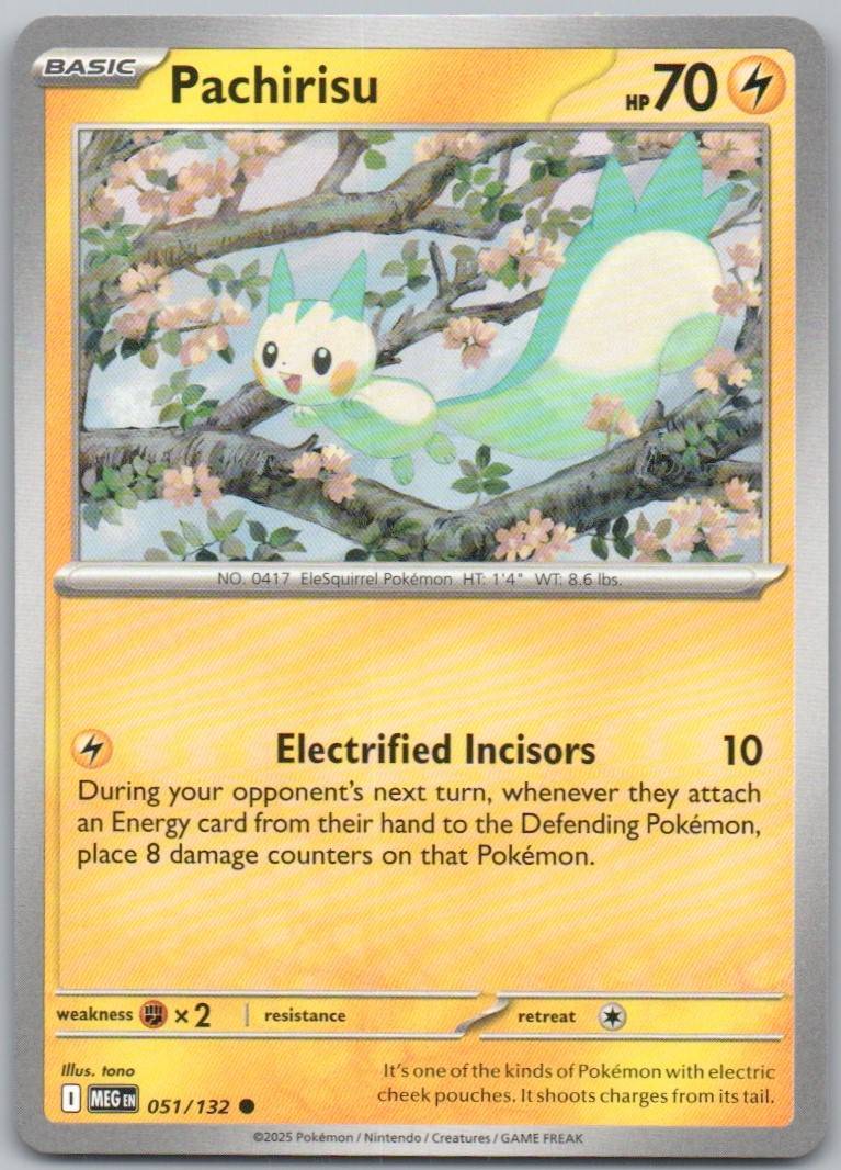 51 - Pachirisu