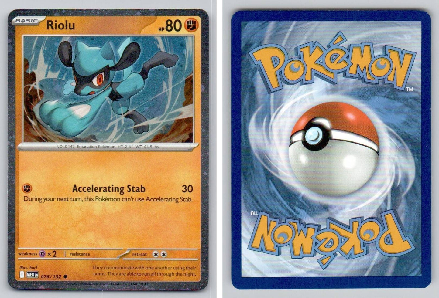 Front + Back scan