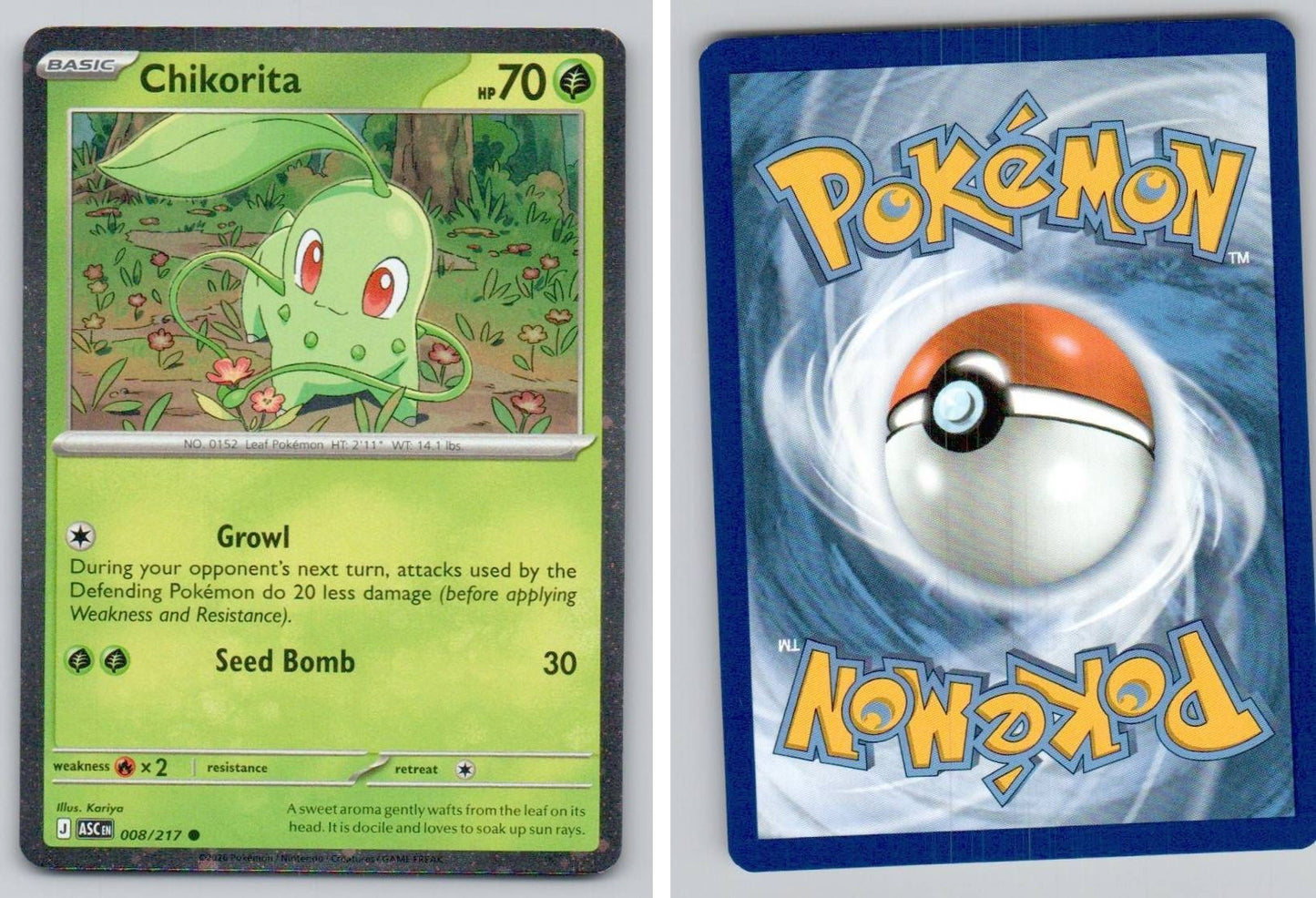 Front + Back scan