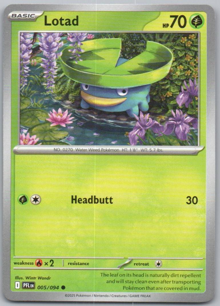 5 - Lotad