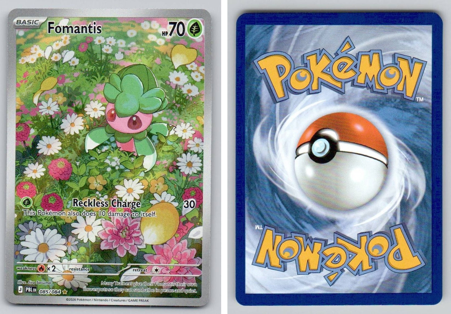 Front + Back scan