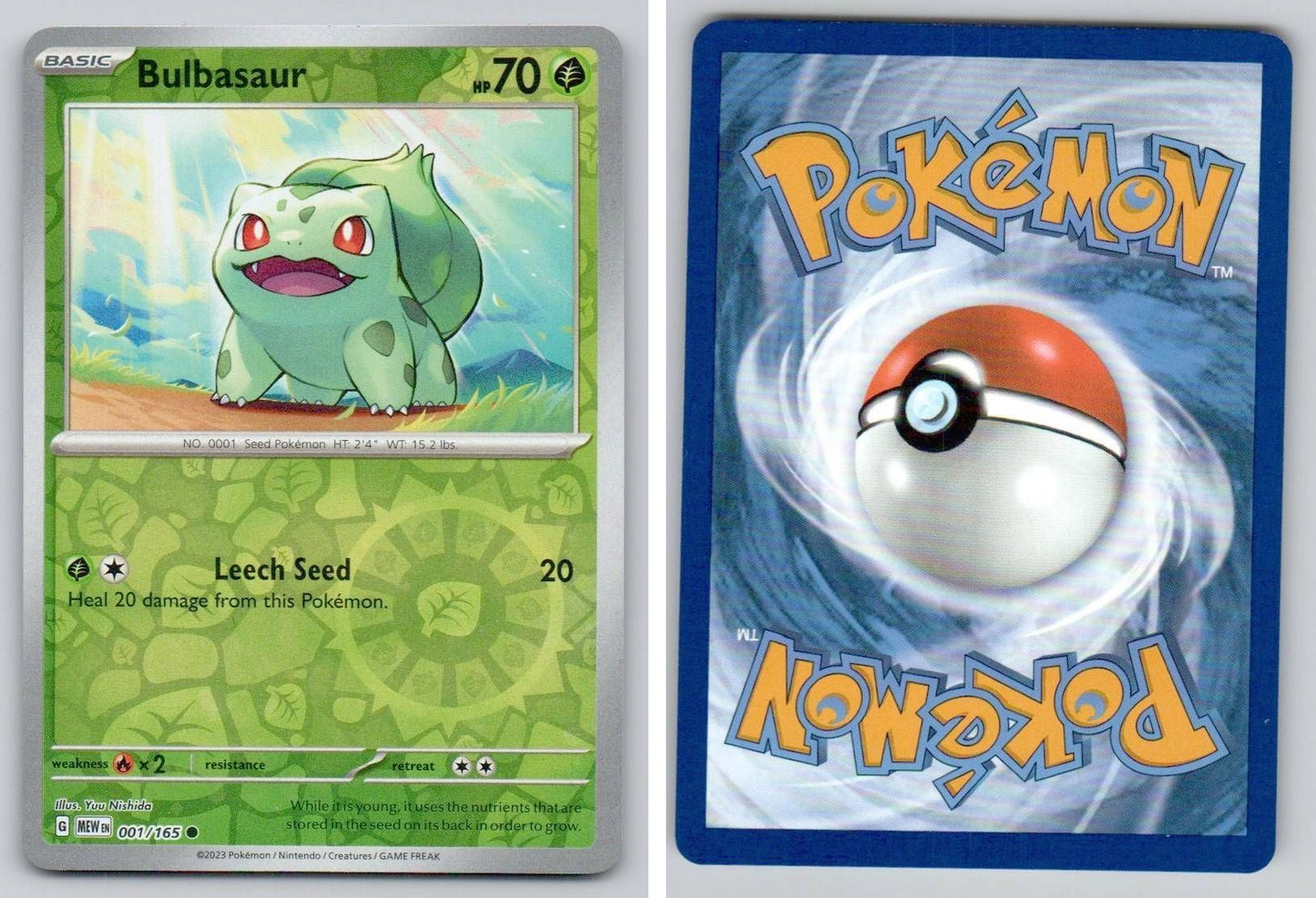 Front + Back scan