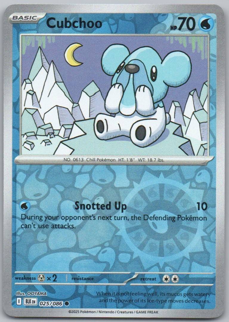25 - Cubchoo