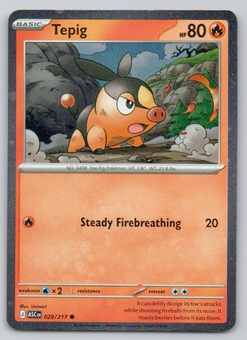 Tepig (Cosmos Holo) 029 HOL Card - Miscellaneous Cards & Products