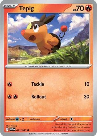 11 - Tepig