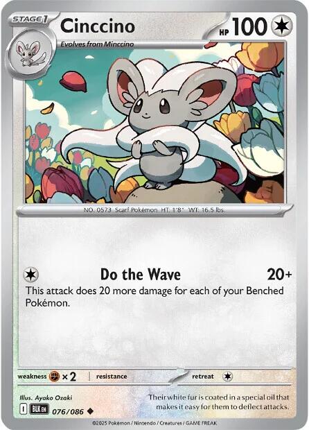 Cinccino
