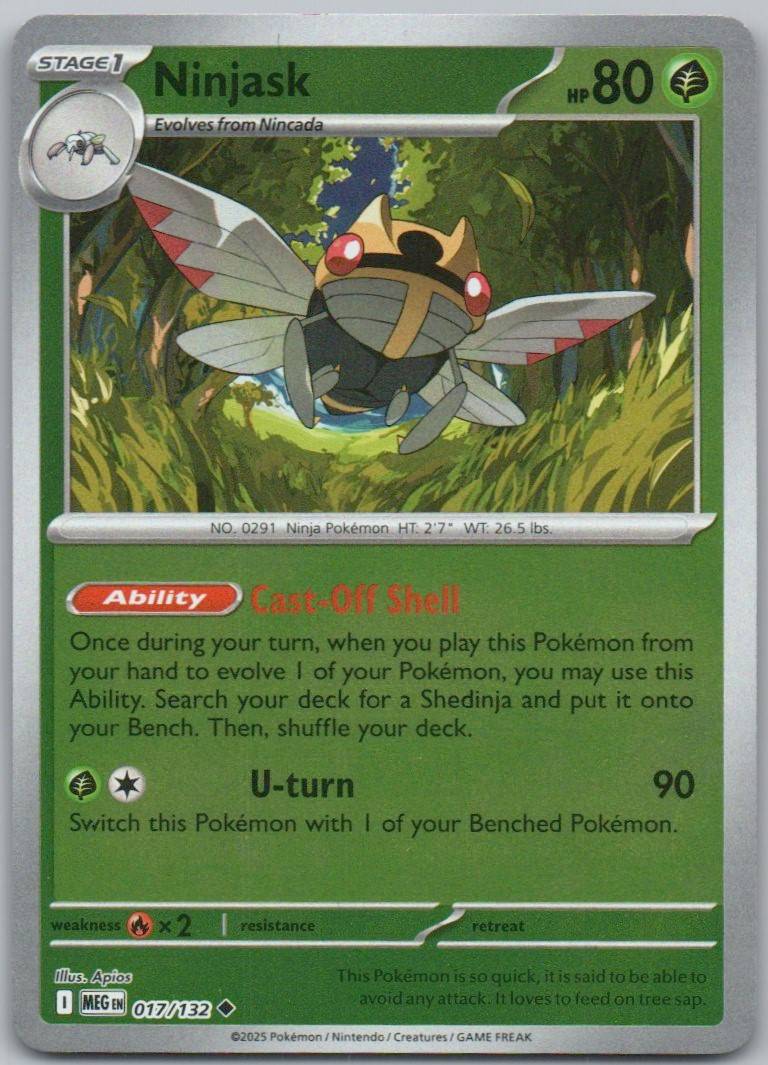 17 - Ninjask