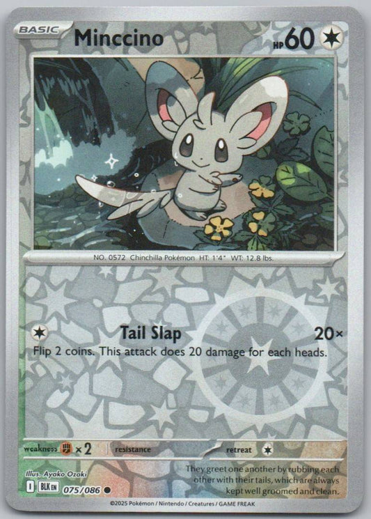 75 - Minccino