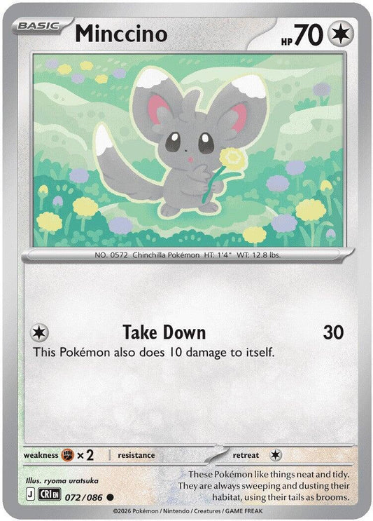 Minccino