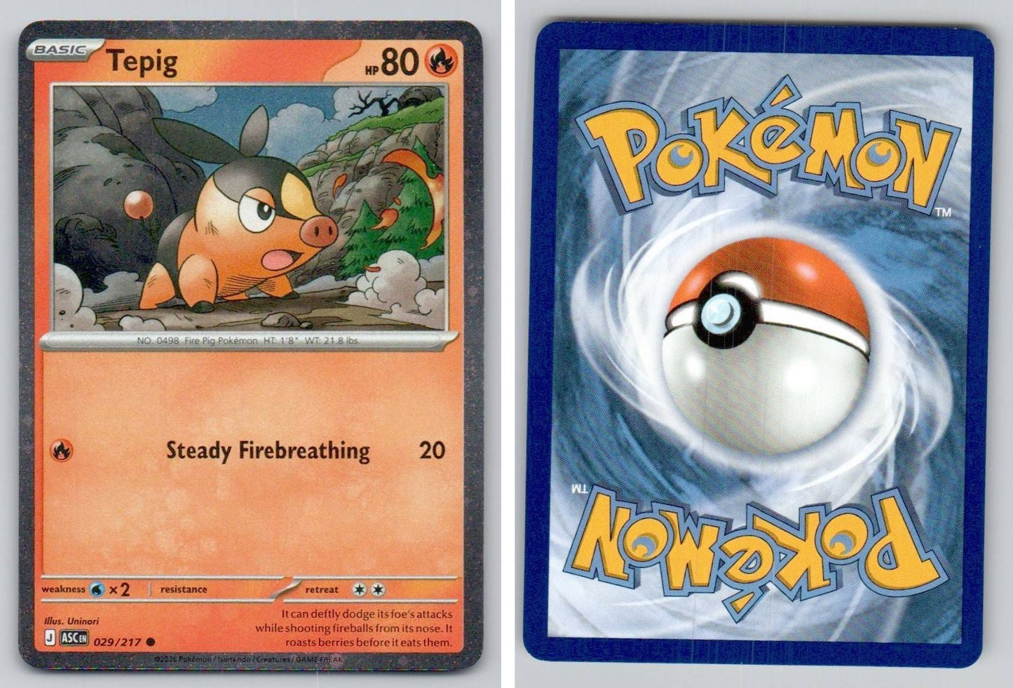 Front + Back scan