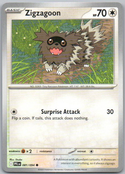 81 - Zigzagoon