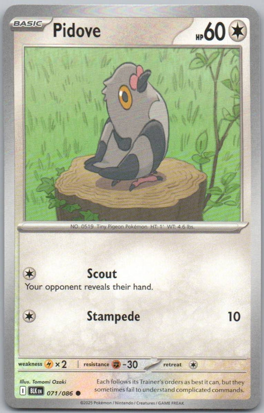 71 - Pidove