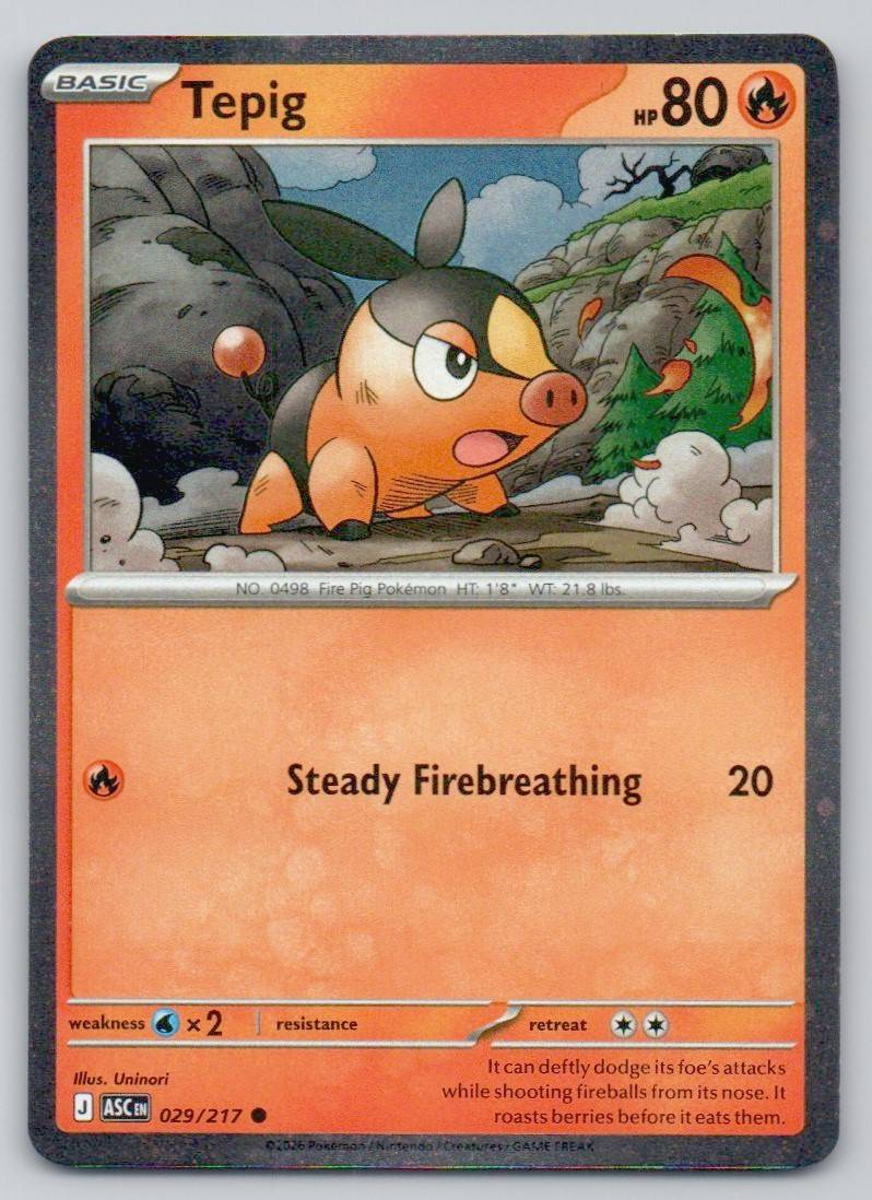 Tepig (Cosmos Holo) 029 HOL Card - Miscellaneous Cards & Products