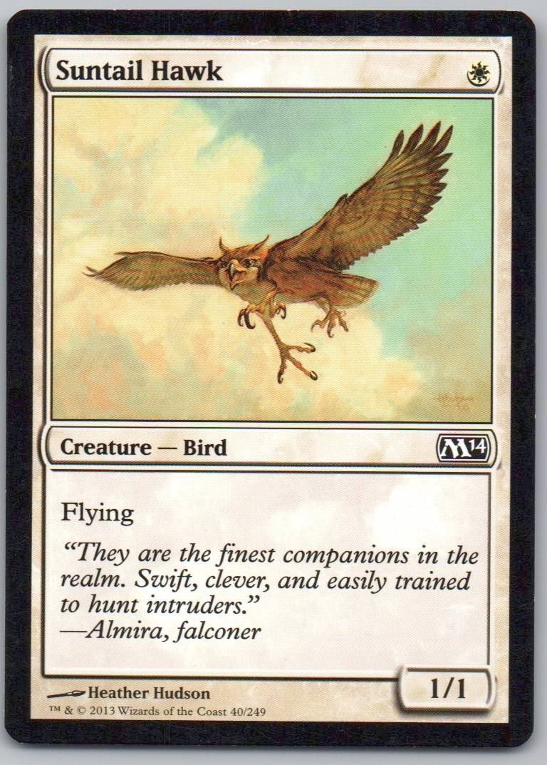 Suntail Hawk 40 Normal Creature Card - Magic 2014