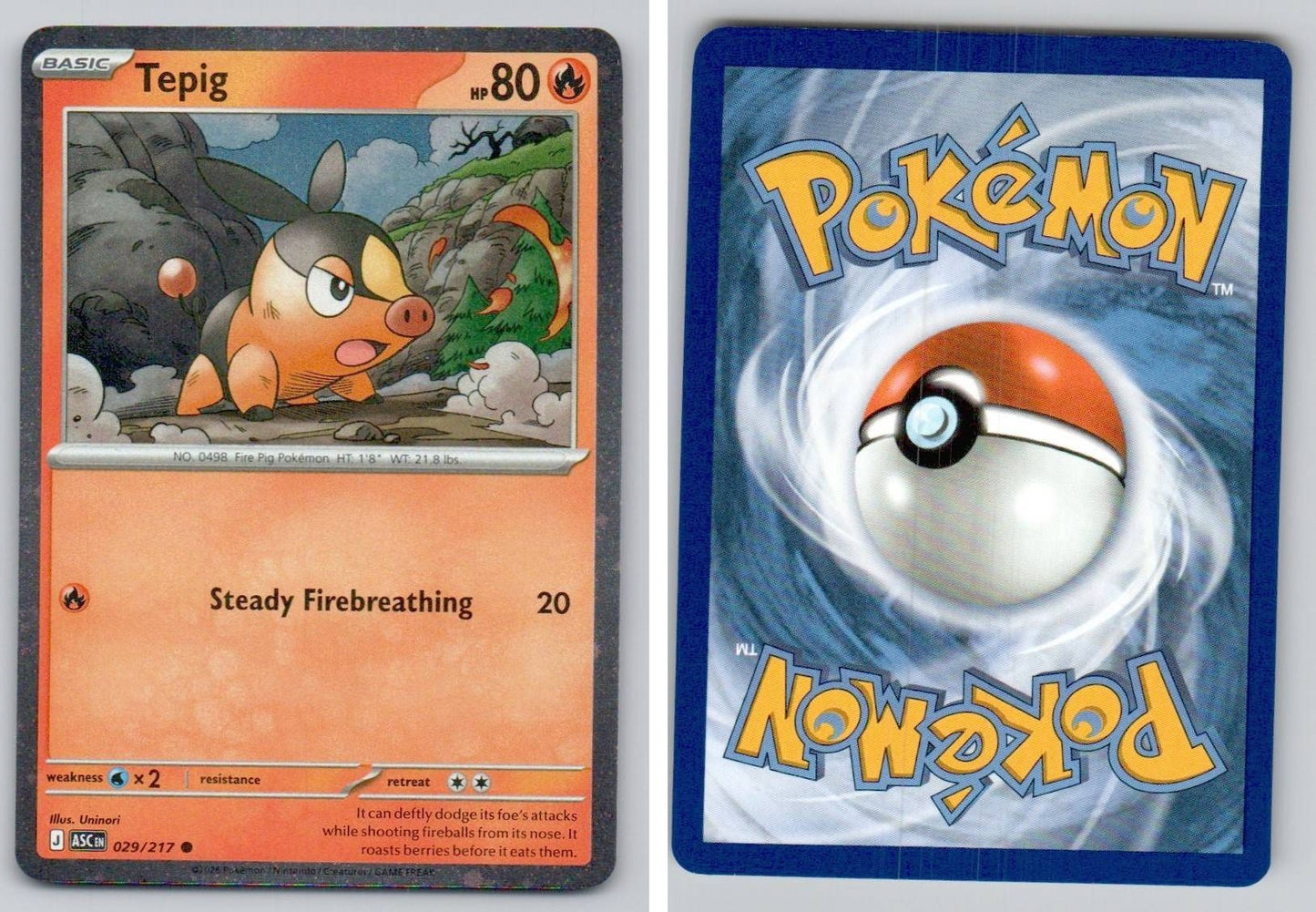Front + Back scan
