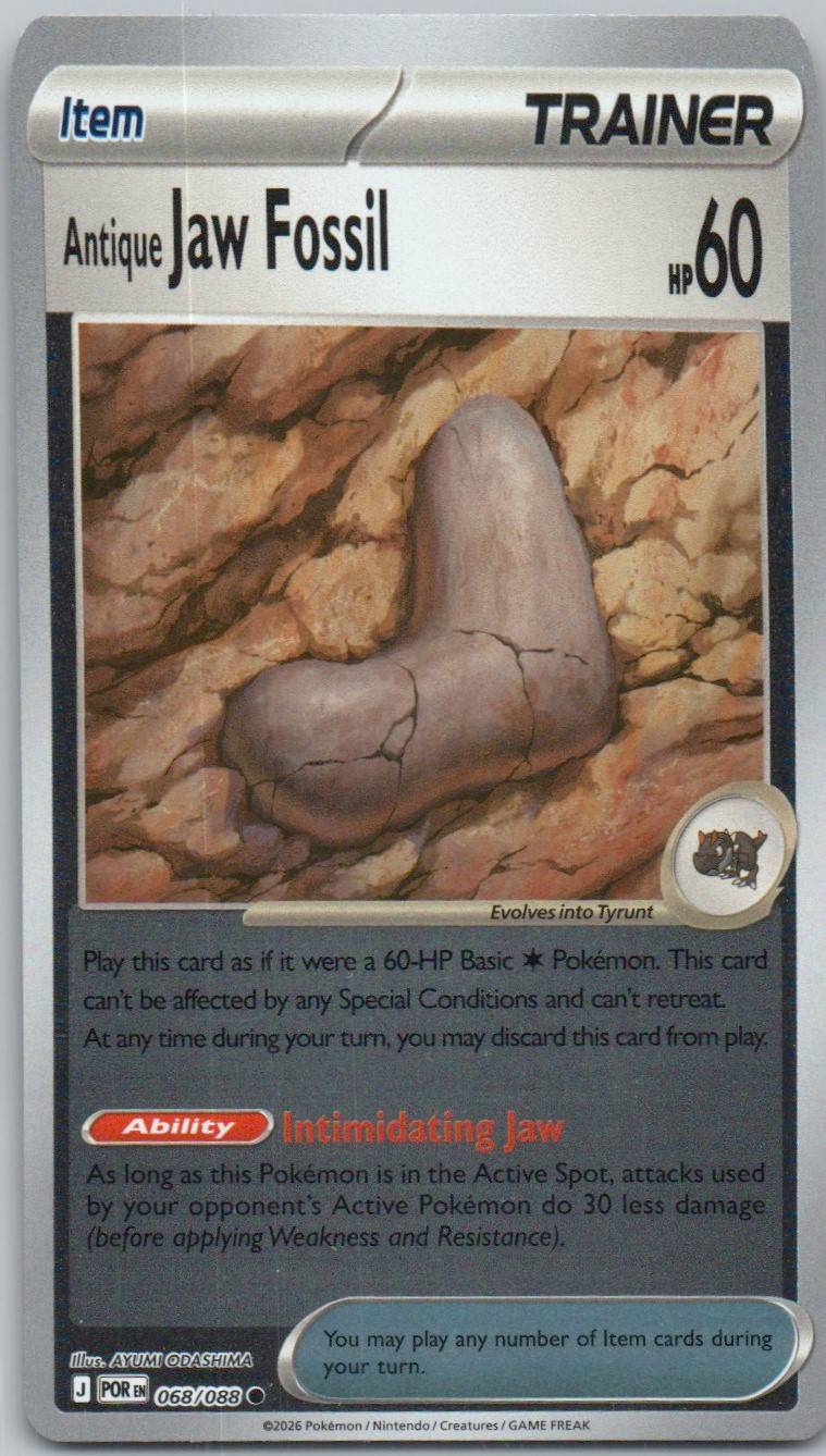 68 - Antique Jaw Fossil