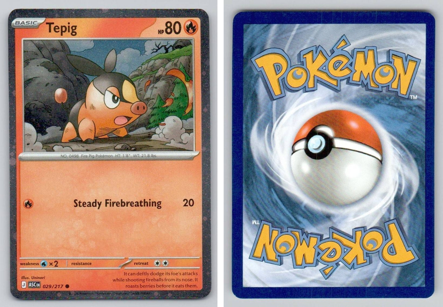 Front + Back scan