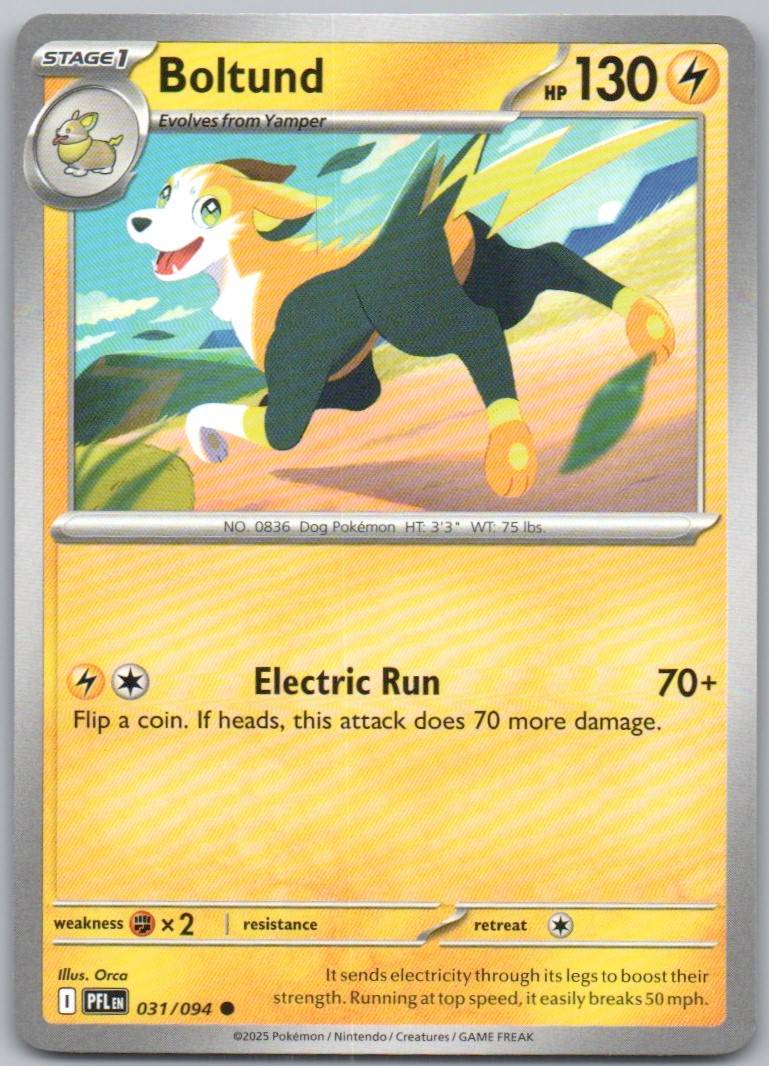 31 - Boltund