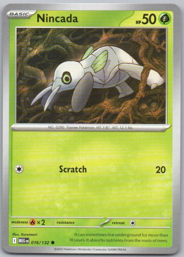 16 - Nincada