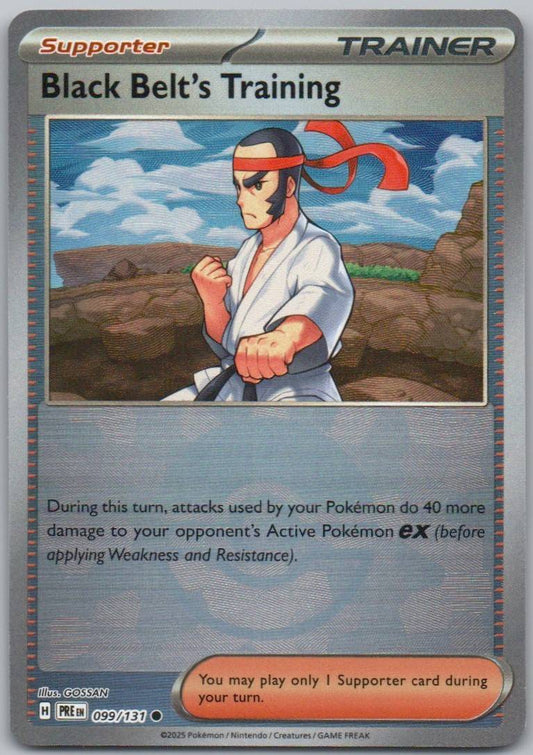 99 - Black Belt's Training (Poke Ball Pattern)