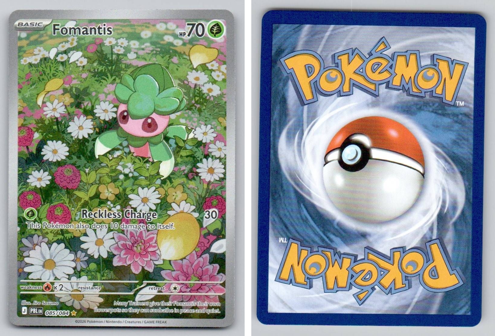 Front + Back scan