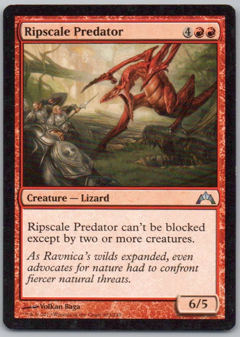 Ripscale Predator 103 Normal Creature Card - Gatecrash