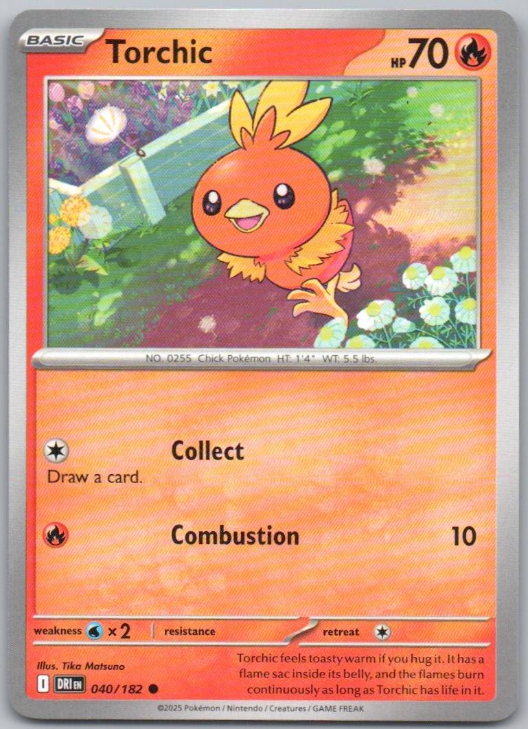 40 - Torchic