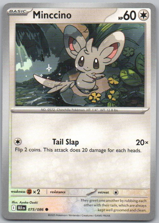 75 - Minccino