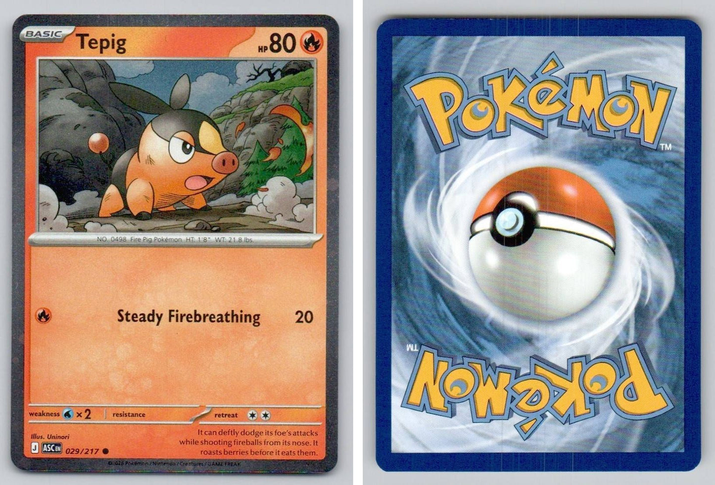 Front + Back scan