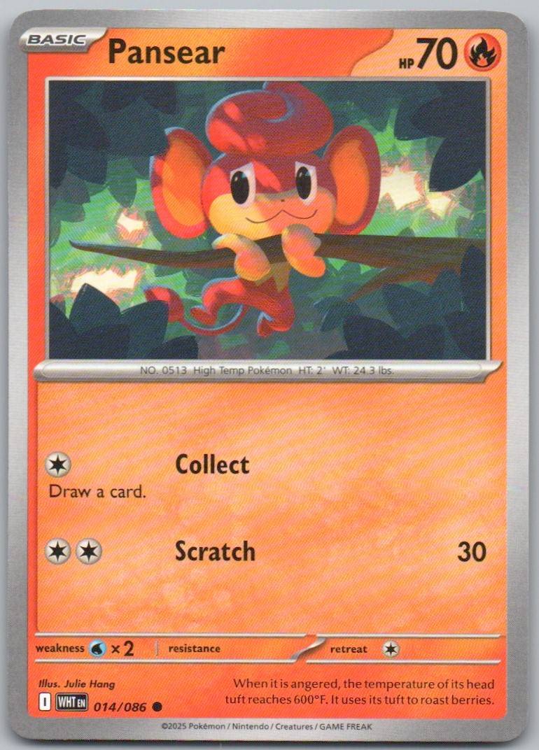 14 - Pansear