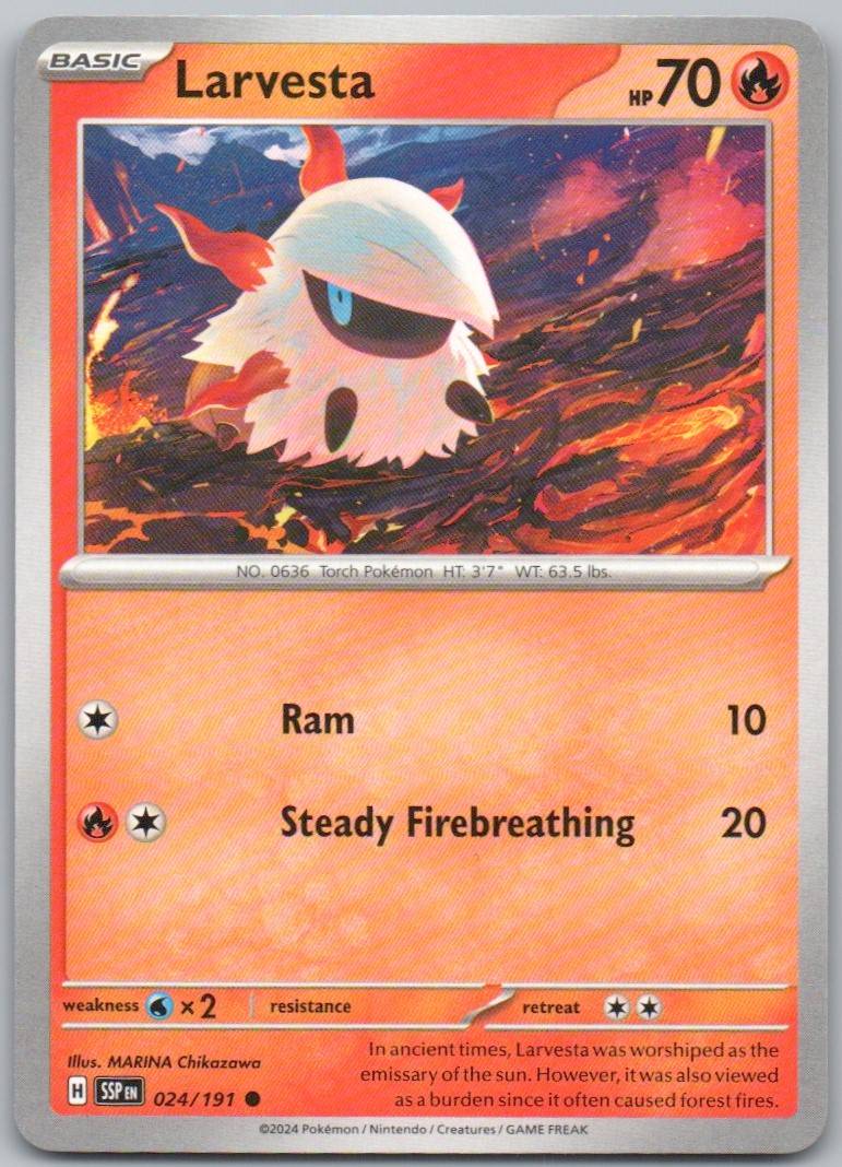 24 - Larvesta