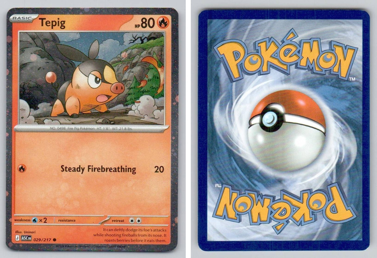 Front + Back scan