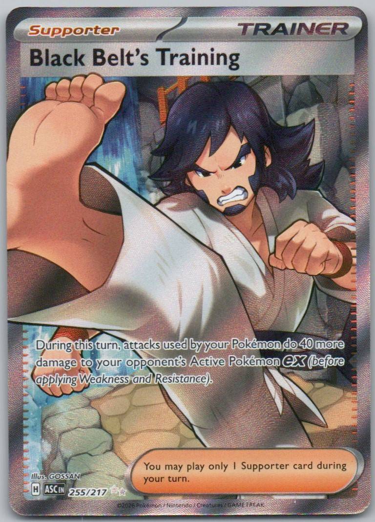 Black Belt's Training 255 Holo Trainer Card - Ascended Heroes