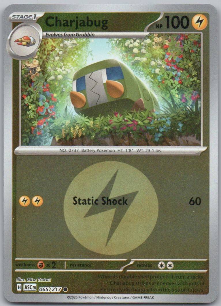 Charjabug 065 Energy Holo Lightning Card - Ascended Heroes