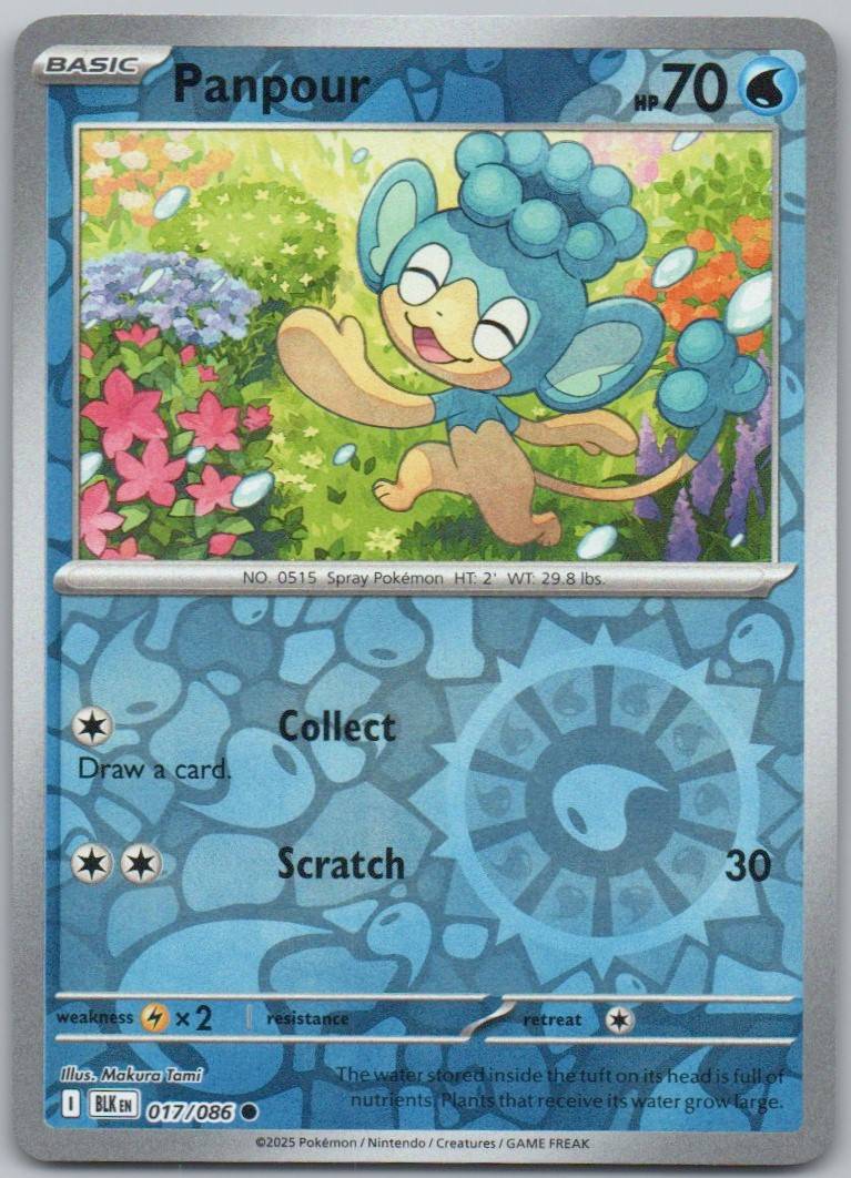 Panpour 017 Reverse Holo Water Card - Black Bolt