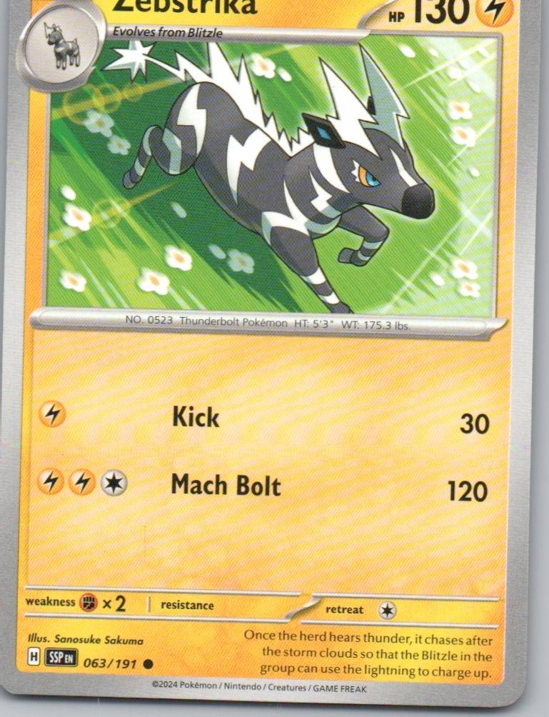 063 - Zebstrika