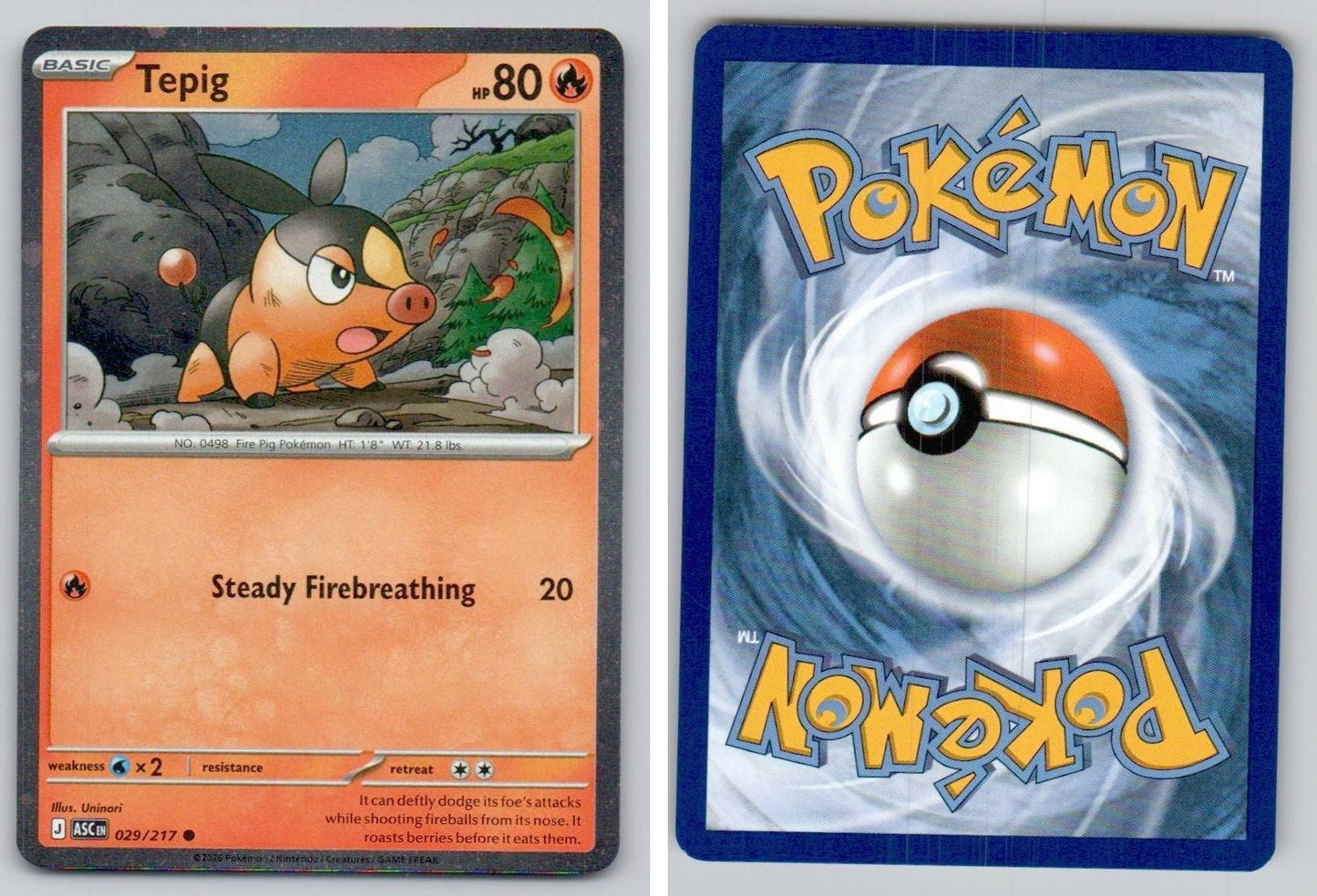 Front + Back scan
