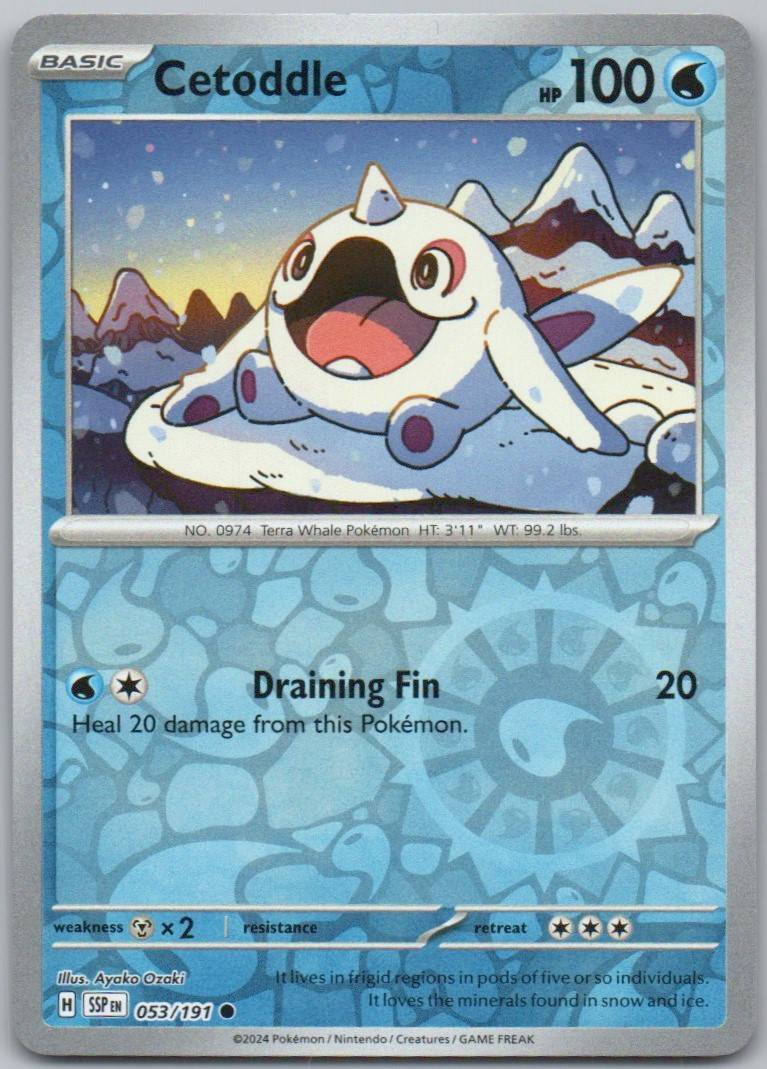53 - Cetoddle
