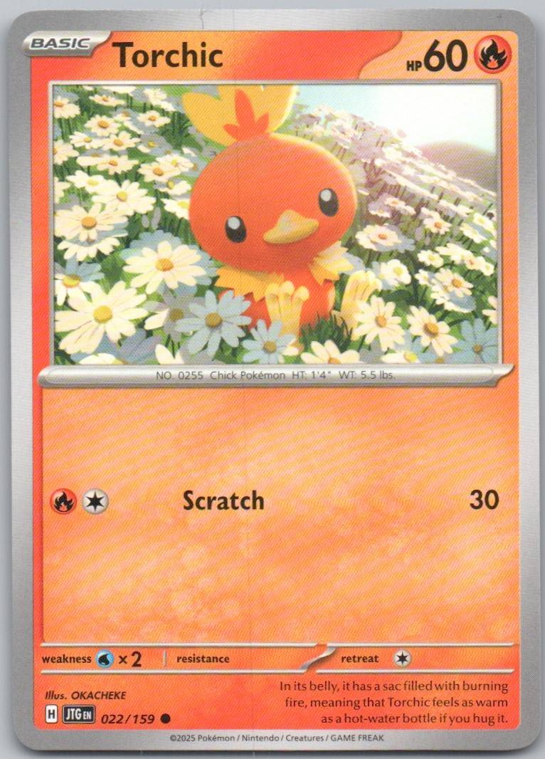 22 - Torchic