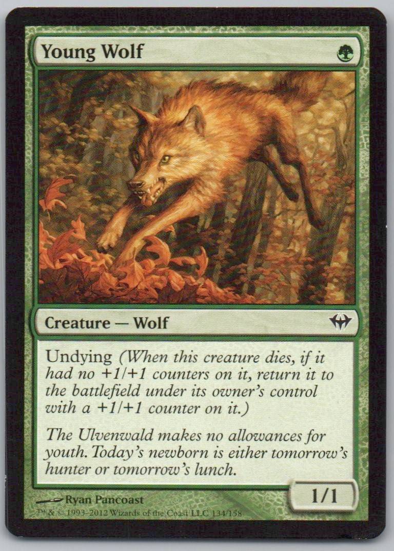 Young Wolf 134 Normal Creature Card - Dark Ascension