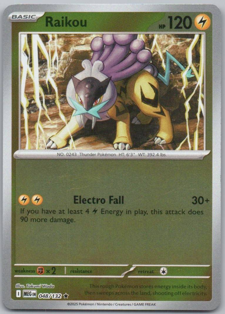 48 - Raikou