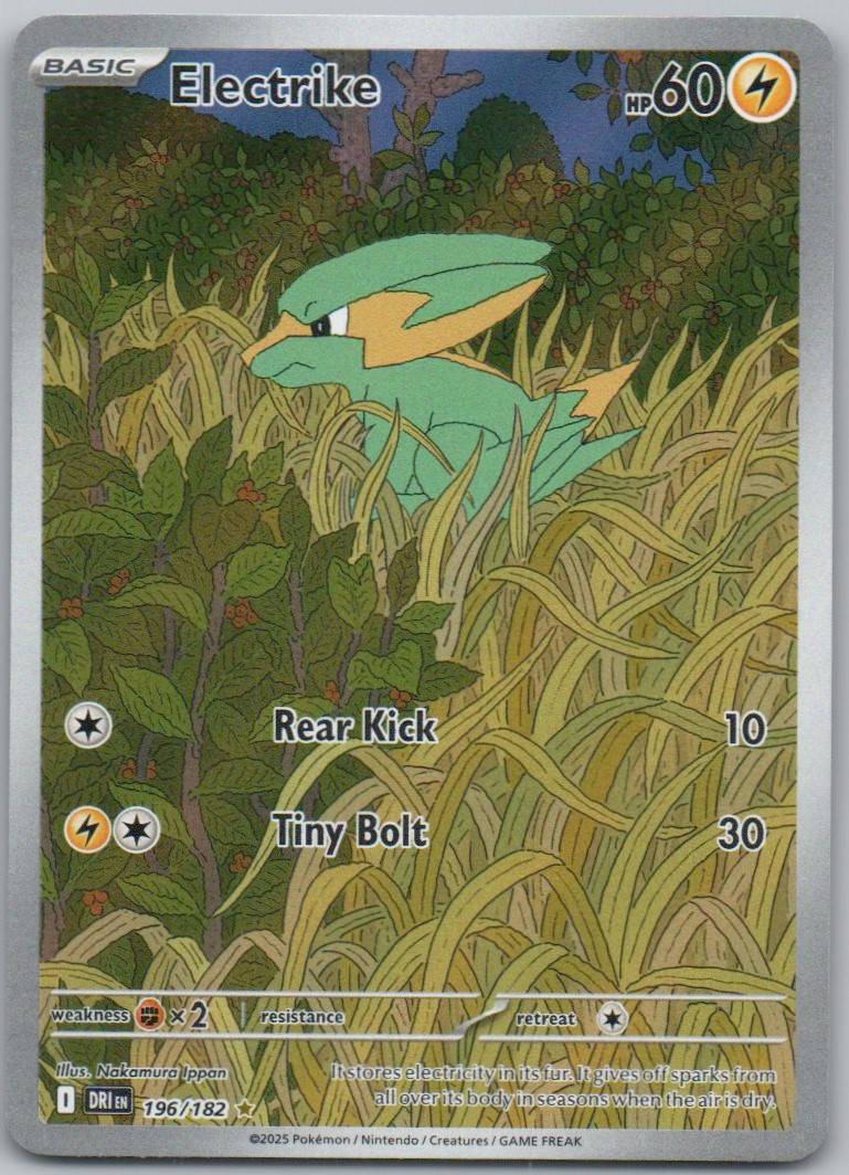 Electrike 196 NOR Card - Destined Rivals
