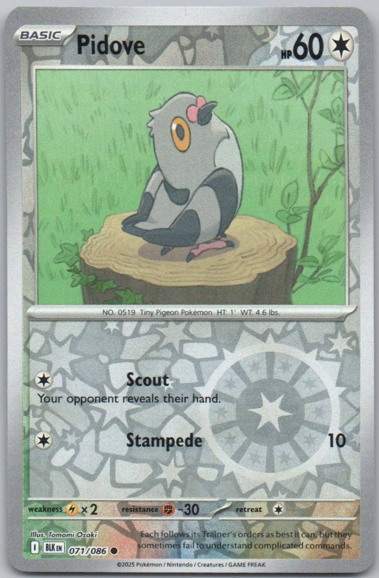71 - Pidove