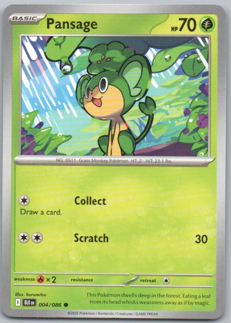 4 - Pansage