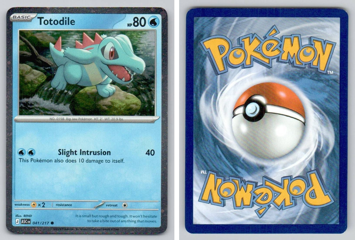 Front + Back scan