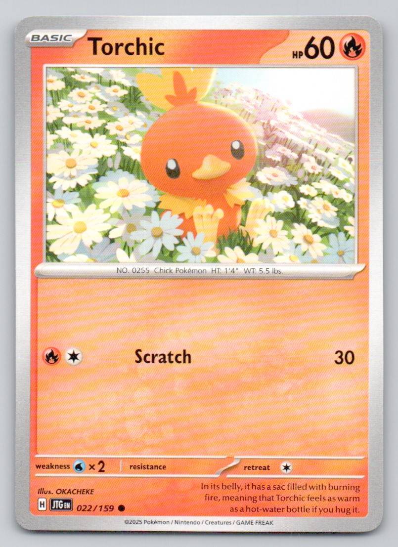 Torchic 022 NOR Card - Journey Together