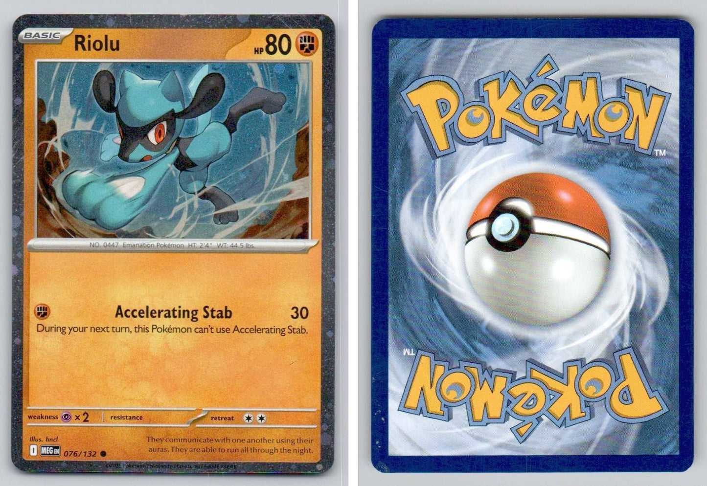 Front + Back scan