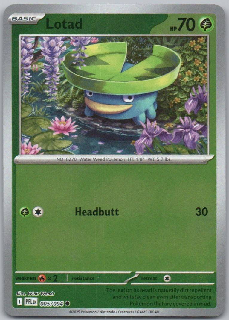 5 - Lotad