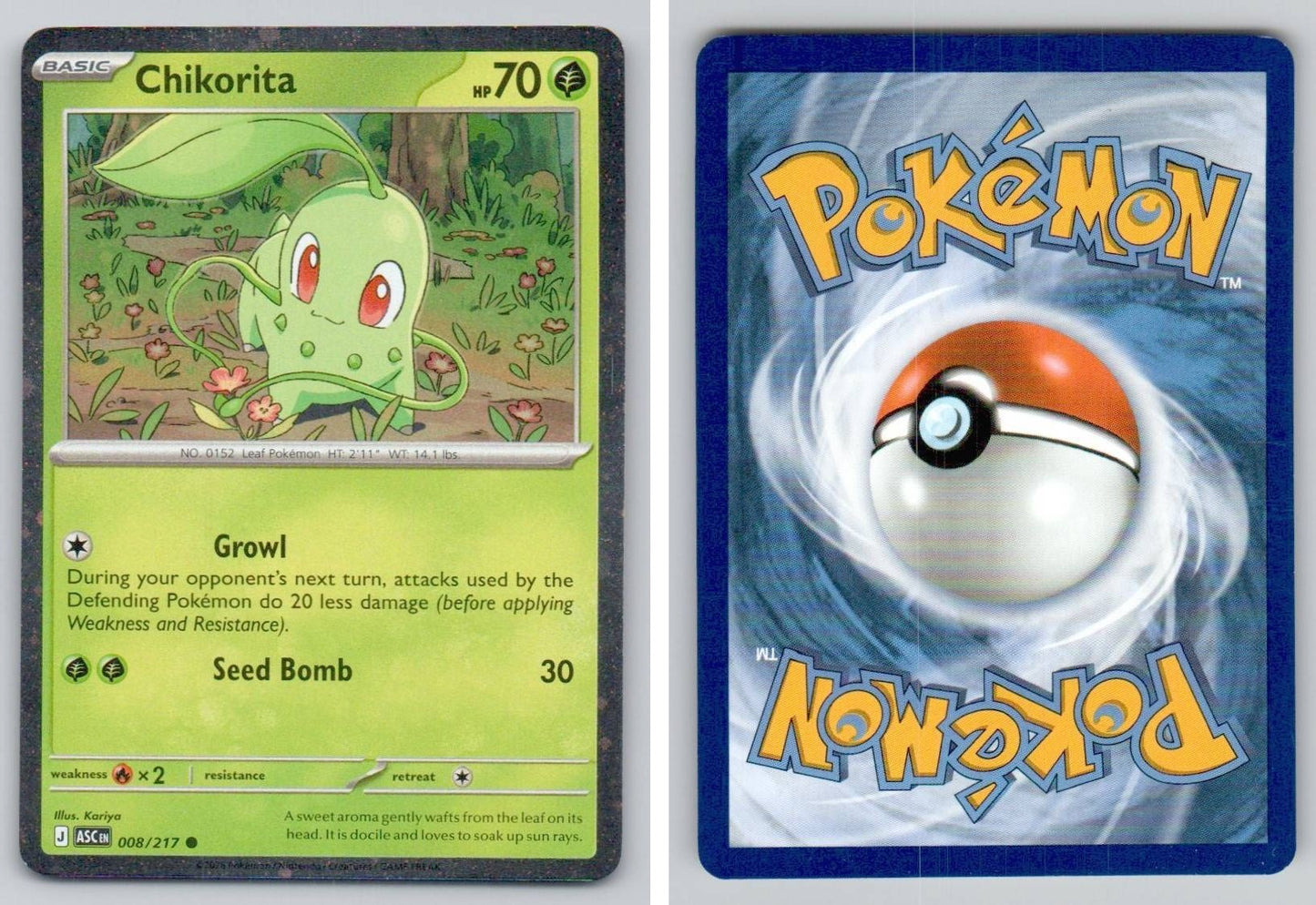 Front + Back scan